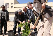 گزارش تصویری مراسم روز درخت کاری در دانشگاه  با حضور ورزشکاران ملی پوش شهرستان شاهرود  